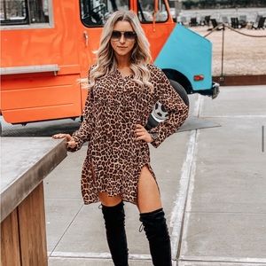 Zara Cheetah Dress with Slit